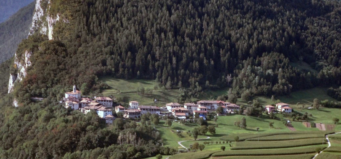 Nel 2015