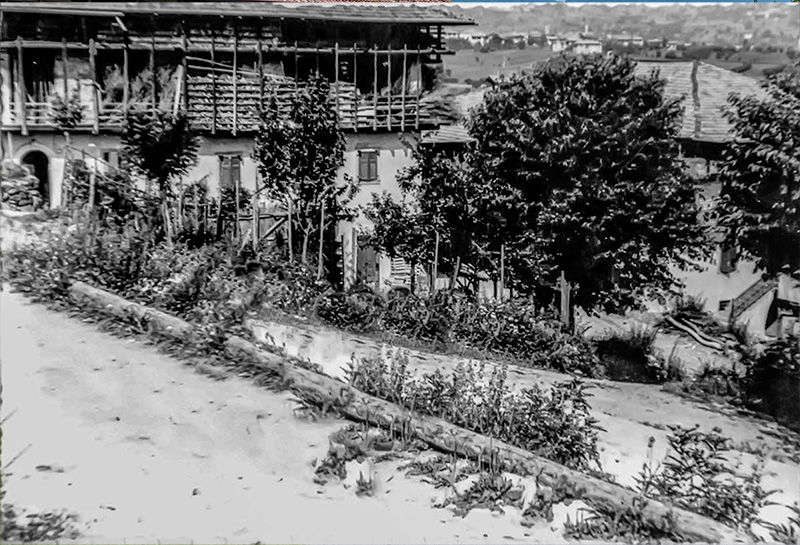 Anni 50
